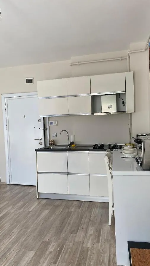 1-Bedroom Apartment In Besiktas Istanbul